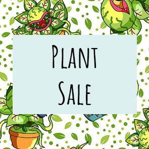 Plant Sale