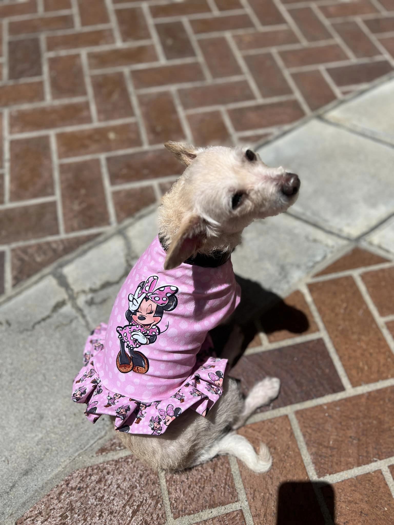 RETAIL PANEL Miss Mouse Pose