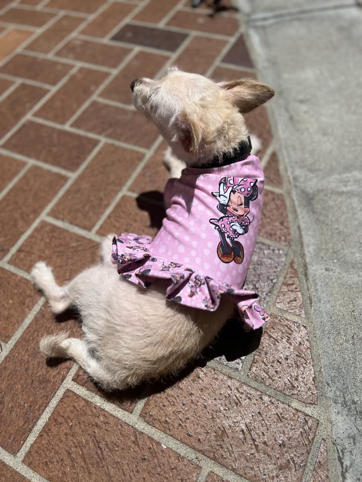 RETAIL PANEL Miss Mouse Pose
