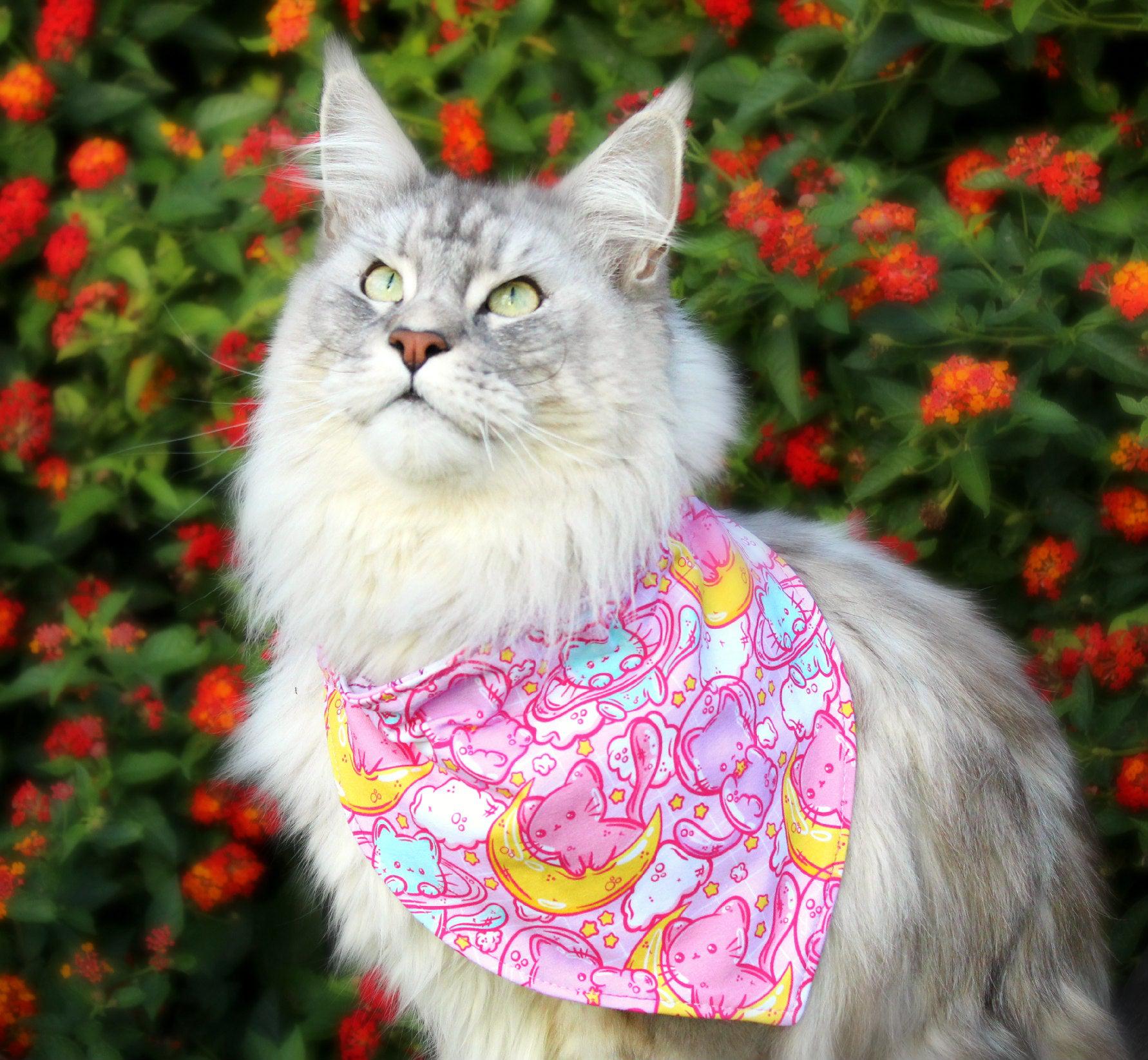 RETAIL Night Time Cat