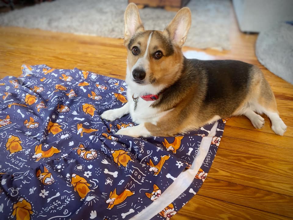 RETAIL Corgi