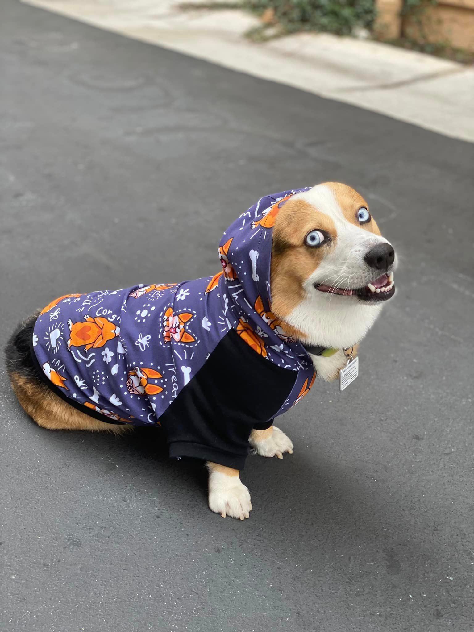 RETAIL Corgi