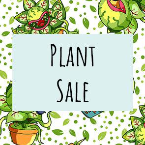 GRAVEYARD Plant Sale